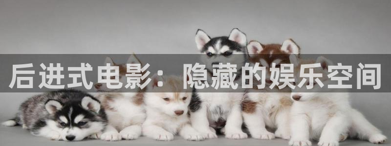 金桔柠檬做法视频