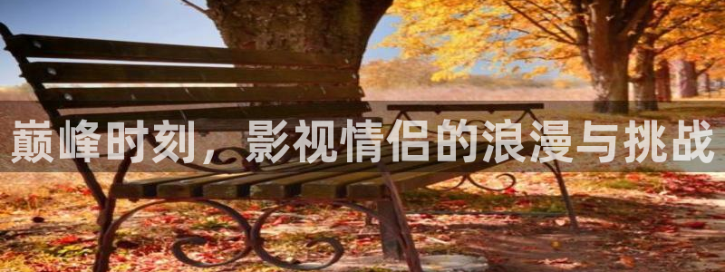 金桔柠檬做法视频