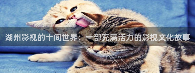 下载金桔视频
