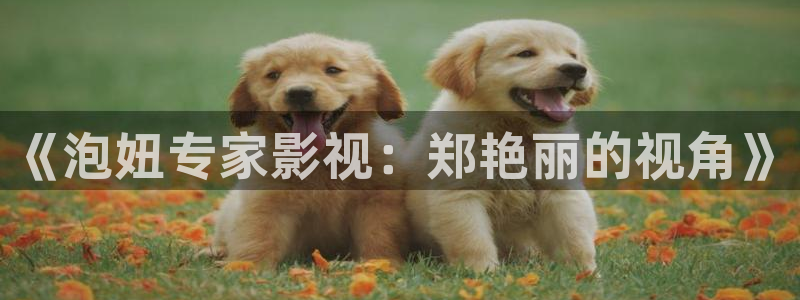 金桔柠檬做法视频