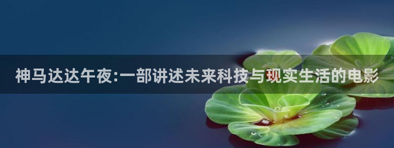 金桔视频下载