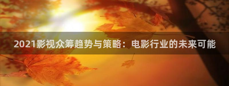 金桔柠檬做法视频
