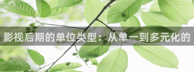 下载金桔影视