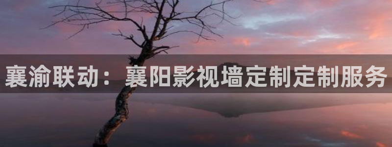 金桔柠檬汁视频